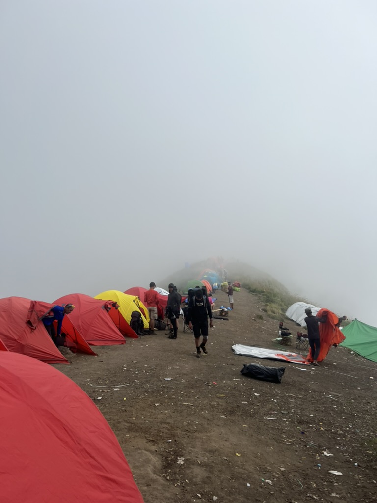 Heavy mist as we arrived at the camping ground.