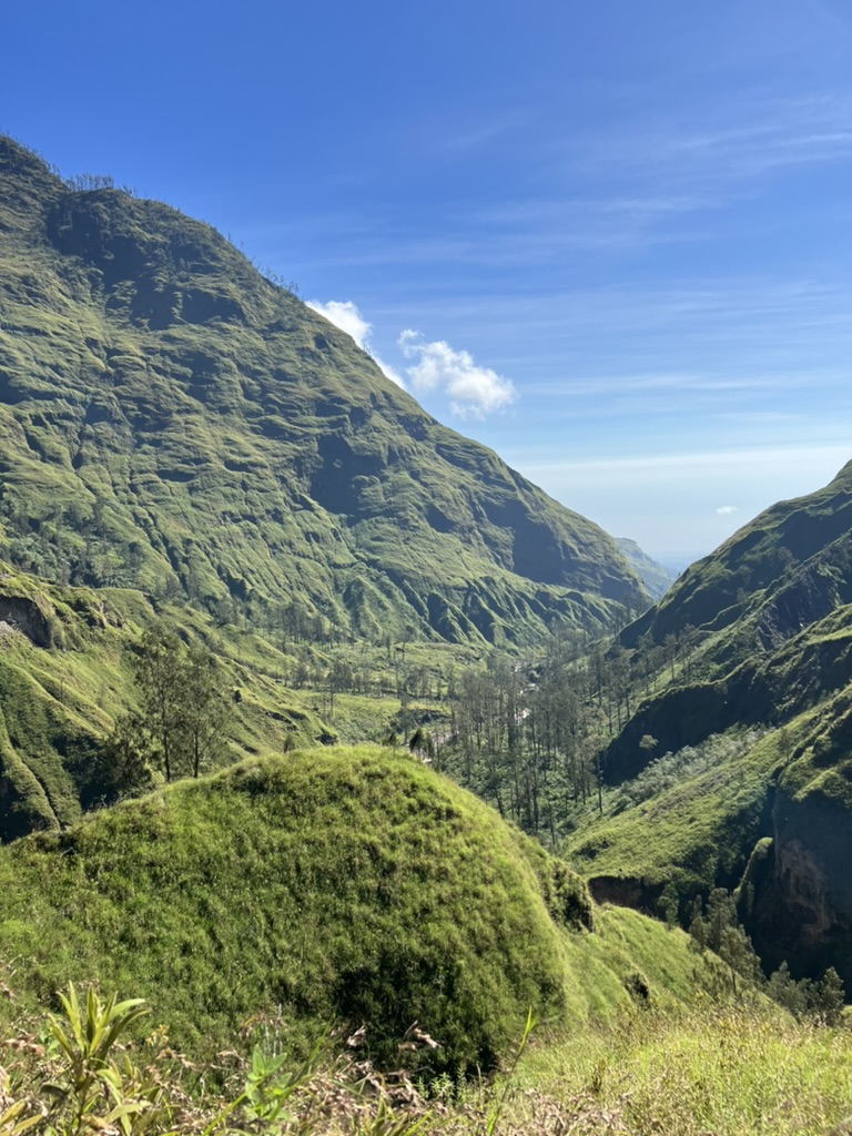 View of Torean valley.